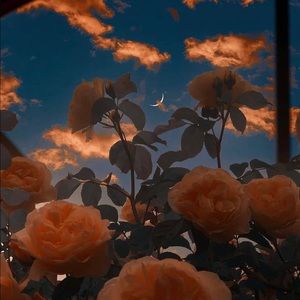 Meet your Posher, Jaiden